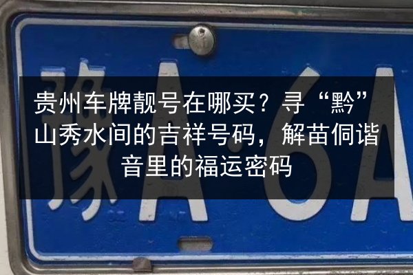 贵州车牌靓号在哪买？寻“黔”山秀水间的吉祥号码，解苗侗谐音里的福运密码 第2张