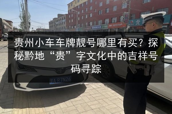 贵州小车车牌靓号哪里有买？探秘黔地“贵”字文化中的吉祥号码寻踪 第1张