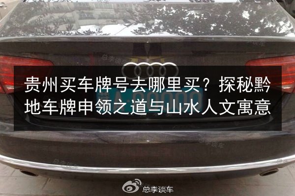 贵州买车牌号去哪里买？探秘黔地车牌申领之道与山水人文寓意 第2张