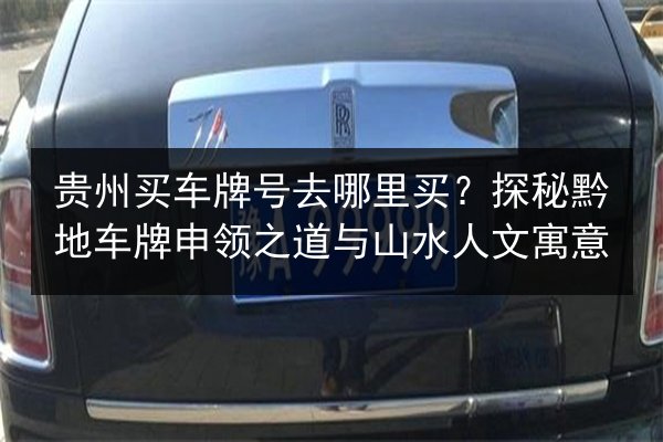 贵州买车牌号去哪里买？探秘黔地车牌申领之道与山水人文寓意 第3张