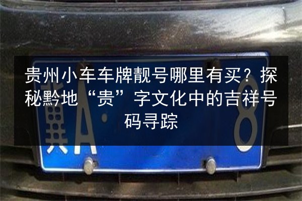 贵州小车车牌靓号哪里有买？探秘黔地“贵”字文化中的吉祥号码寻踪 第3张
