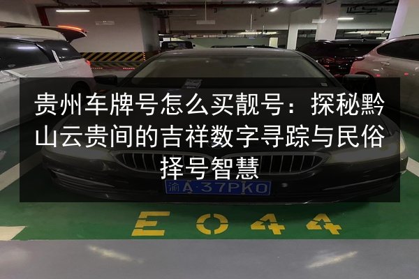 贵州车牌号怎么买靓号：探秘黔山云贵间的吉祥数字寻踪与民俗择号智慧 第3张