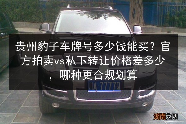 贵州豹子车牌号多少钱能买？官方拍卖vs私下转让价格差多少，哪种更合规划算