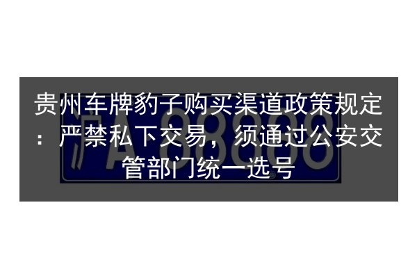 贵州车牌豹子购买渠道政策规定：严禁私下交易，须通过公安交管部门统一选号 第3张