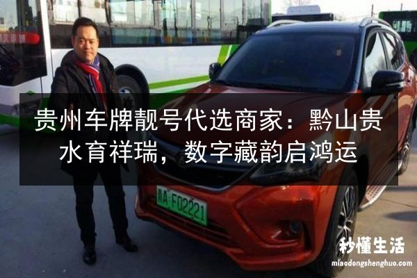 贵州车牌靓号代选商家:黔山贵水育祥瑞,数字藏韵启鸿运 第2张 贵州车牌靓号代选商家:黔山贵水育祥瑞,数字藏韵启鸿运 第2张