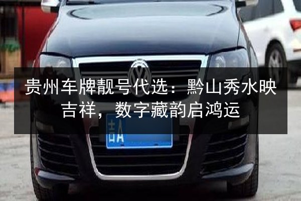 贵州车牌靓号代选：黔山秀水映吉祥，数字藏韵启鸿运 第3张