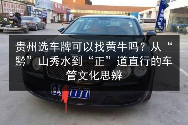 贵州选车牌可以找黄牛吗?从“黔”山秀水到“正”道直行的车管文化思辨 第3张 贵州选车牌可以找黄牛吗?从“黔”山秀水到“正”道直行的车管文化思辨 第3张