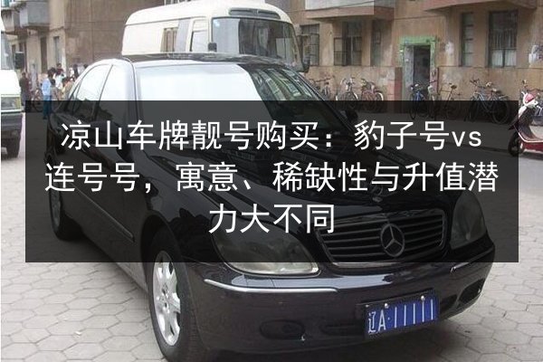 凉山车牌靓号购买：豹子号vs连号号，寓意、稀缺性与升值潜力大不同 第2张