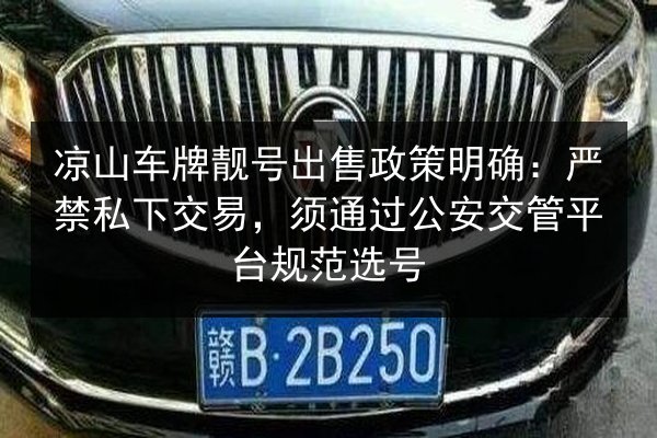 凉山车牌靓号出售政策明确:严禁私下交易,须通过公安交管平台规范选号 第3张 凉山车牌靓号出售政策明确:严禁私下交易,须通过公安交管平台规范选号 第3张
