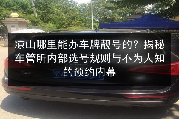 凉山哪里能办车牌靓号的?揭秘车管所内部选号规则与不为人知的预约内幕 第2张 凉山哪里能办车牌靓号的?揭秘车管所内部选号规则与不为人知的预约内幕 第2张