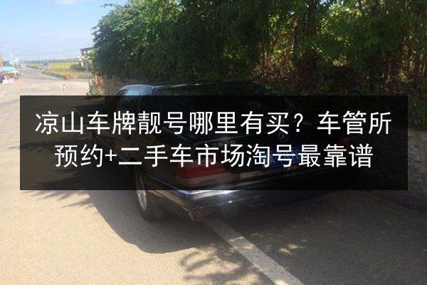 凉山车牌靓号哪里有买?车管所预约+二手车市场淘号最靠谱 第3张 凉山车牌靓号哪里有买?车管所预约+二手车市场淘号最靠谱 第3张