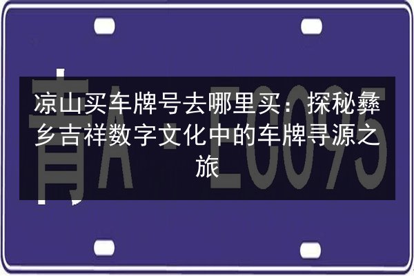 凉山买车牌号去哪里买:探秘彝乡吉祥数字文化中的车牌寻源之旅 第2张 凉山买车牌号去哪里买:探秘彝乡吉祥数字文化中的车牌寻源之旅 第2张