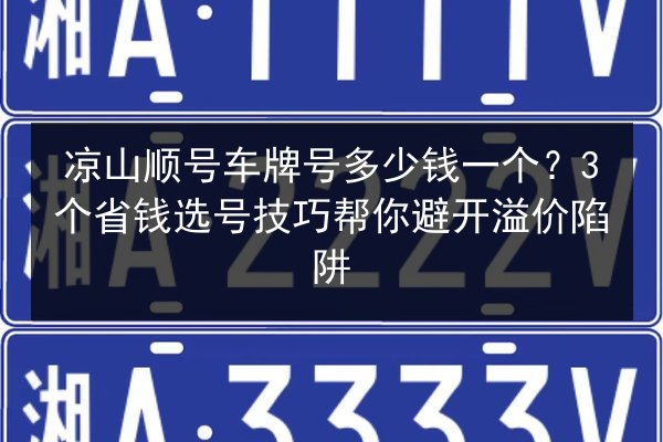 凉山顺号车牌号多少钱一个?3个省钱选号技巧帮你避开溢价陷阱 第2张 凉山顺号车牌号多少钱一个?3个省钱选号技巧帮你避开溢价陷阱 第2张