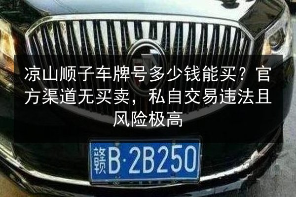 凉山顺子车牌号多少钱能买?官方渠道无买卖,私自交易违法且风险极高 第2张 凉山顺子车牌号多少钱能买?官方渠道无买卖,私自交易违法且风险极高 第2张
