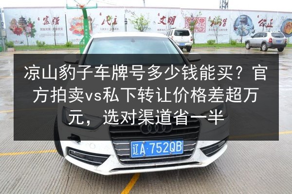 凉山豹子车牌号多少钱能买？官方拍卖vs私下转让价格差超万元，选对渠道省一半 第2张