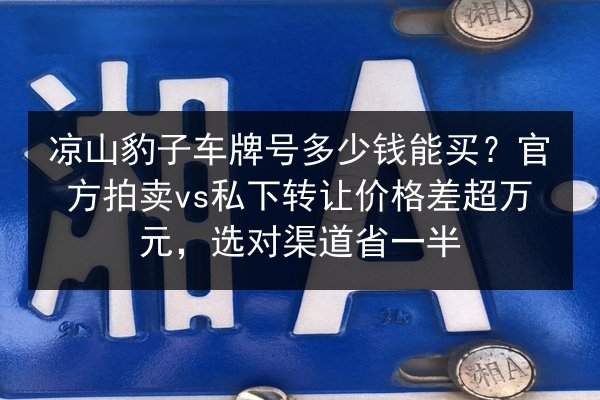 凉山豹子车牌号多少钱能买？官方拍卖vs私下转让价格差超万元，选对渠道省一半 第3张