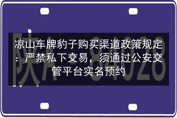 凉山车牌豹子购买渠道政策规定:严禁私下交易,须通过公安交管平台实名预约 第2张 凉山车牌豹子购买渠道政策规定:严禁私下交易,须通过公安交管平台实名预约 第2张