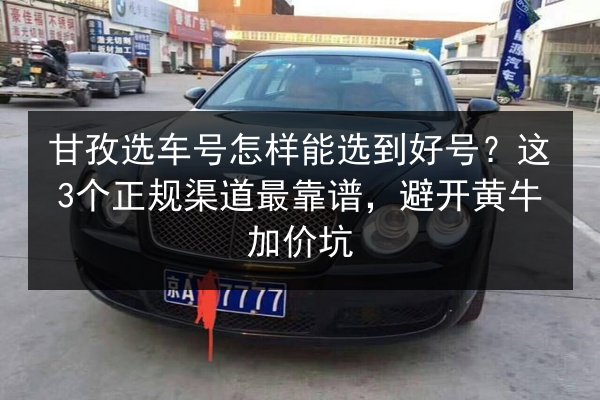 甘孜选车号怎样能选到好号？这3个正规渠道最靠谱，避开黄牛加价坑