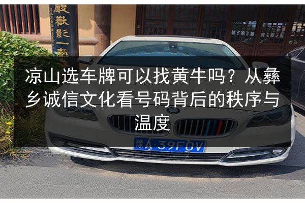 凉山选车牌可以找黄牛吗？从彝乡诚信文化看号码背后的秩序与温度 第3张