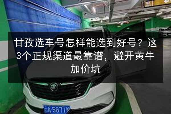 甘孜选车号怎样能选到好号？这3个正规渠道最靠谱，避开黄牛加价坑 第2张