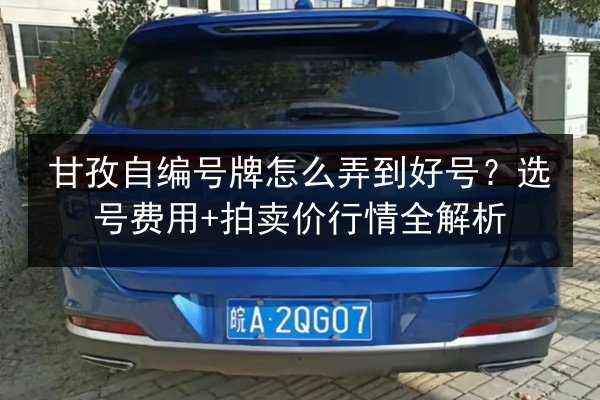甘孜自编号牌怎么弄到好号?选号费用+拍卖价行情全解析 第2张 甘孜自编号牌怎么弄到好号?选号费用+拍卖价行情全解析 第2张