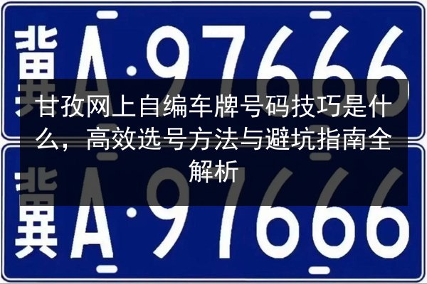 甘孜网上自编车牌号码技巧是什么，高效选号方法与避坑指南全解析 第3张