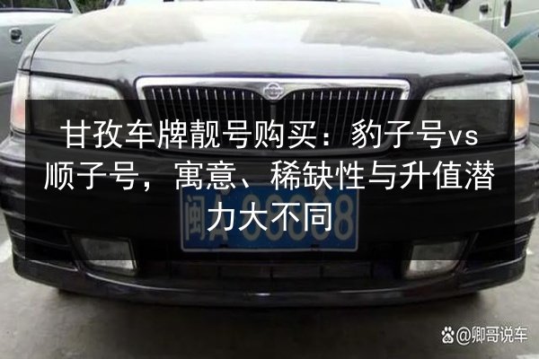 甘孜车牌靓号购买：豹子号vs顺子号，寓意、稀缺性与升值潜力大不同 第2张