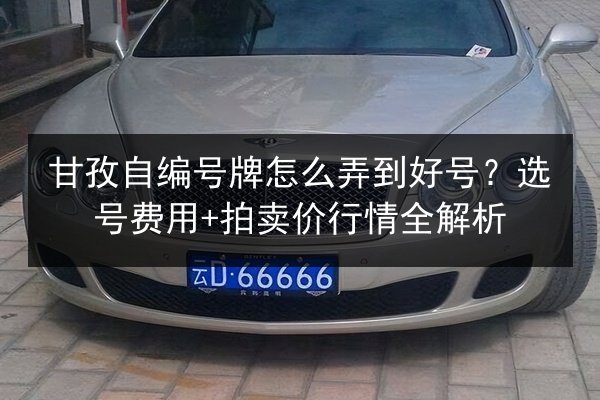 甘孜自编号牌怎么弄到好号?选号费用+拍卖价行情全解析 第3张 甘孜自编号牌怎么弄到好号?选号费用+拍卖价行情全解析 第3张