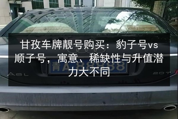甘孜车牌靓号购买：豹子号vs顺子号，寓意、稀缺性与升值潜力大不同 第3张