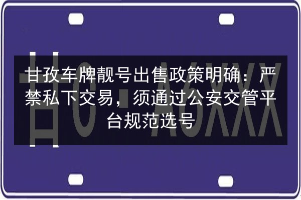 甘孜车牌靓号出售政策明确：严禁私下交易，须通过公安交管平台规范选号 第2张