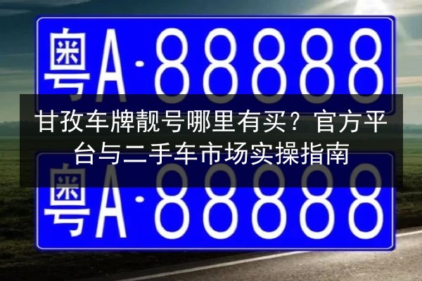 甘孜车牌靓号哪里有买？官方平台与二手车市场实操指南 第2张