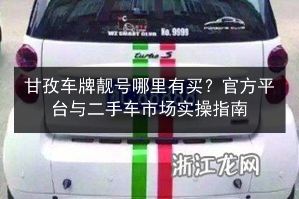甘孜车牌靓号哪里有买？官方平台与二手车市场实操指南 第3张
