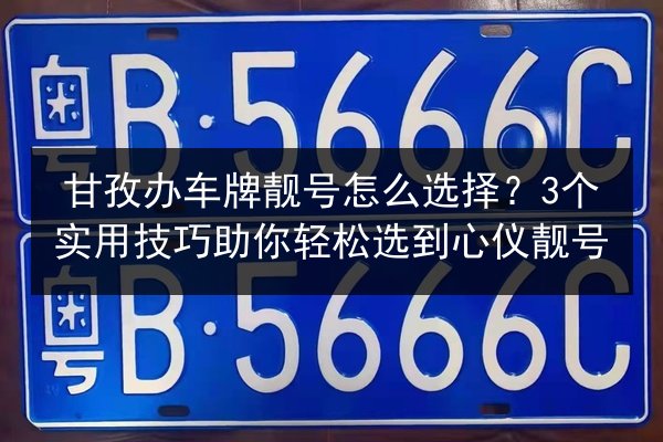 甘孜办车牌靓号怎么选择?3个实用技巧助你轻松选到心仪靓号 第3张 甘孜办车牌靓号怎么选择?3个实用技巧助你轻松选到心仪靓号 第3张