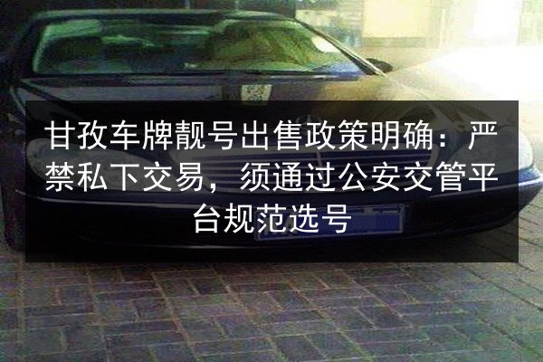 甘孜车牌靓号出售政策明确：严禁私下交易，须通过公安交管平台规范选号 第3张