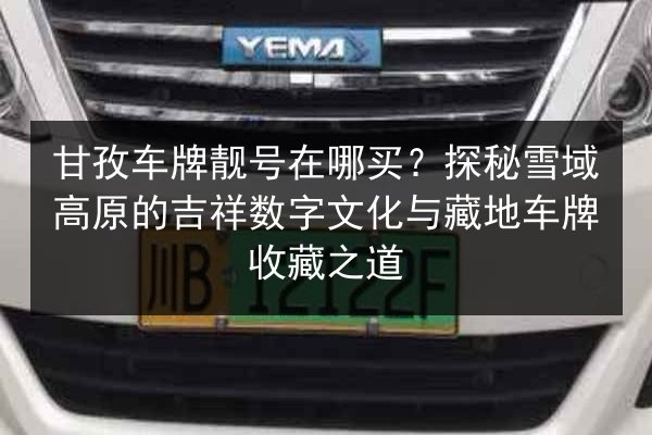 甘孜车牌靓号在哪买?探秘雪域高原的吉祥数字文化与藏地车牌收藏之道 第2张 甘孜车牌靓号在哪买?探秘雪域高原的吉祥数字文化与藏地车牌收藏之道 第2张