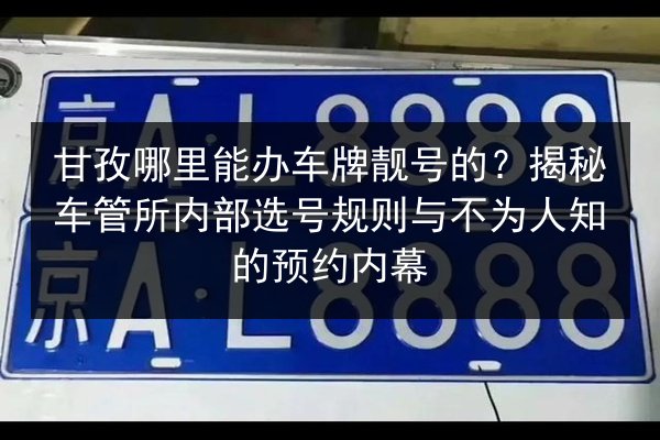 甘孜哪里能办车牌靓号的？揭秘车管所内部选号规则与不为人知的预约内幕 第2张