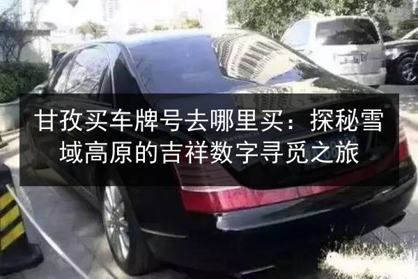 甘孜买车牌号去哪里买:探秘雪域高原的吉祥数字寻觅之旅 第2张 甘孜买车牌号去哪里买:探秘雪域高原的吉祥数字寻觅之旅 第2张