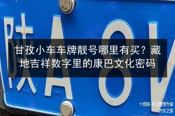 甘孜小车车牌靓号哪里有买?藏地吉祥数字里的康巴文化密码 第2张 甘孜小车车牌靓号哪里有买?藏地吉祥数字里的康巴文化密码 第2张