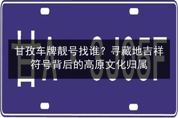 甘孜车牌靓号找谁？寻藏地吉祥符号背后的高原文化归属 第3张