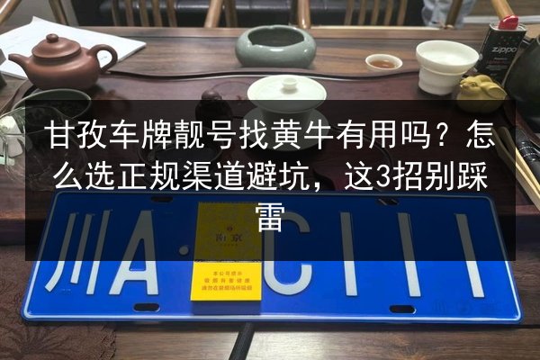 甘孜车牌靓号找黄牛有用吗?怎么选正规渠道避坑,这3招别踩雷 第1张 甘孜车牌靓号找黄牛有用吗?怎么选正规渠道避坑,这3招别踩雷 第1张