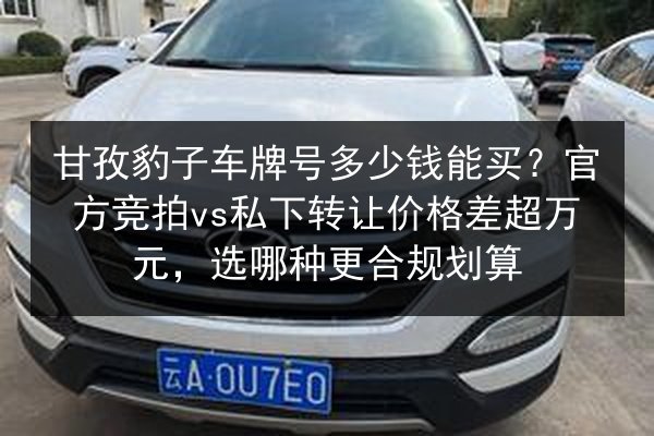 甘孜豹子车牌号多少钱能买?官方竞拍vs私下转让价格差超万元,选哪种更合规划算 第2张 甘孜豹子车牌号多少钱能买?官方竞拍vs私下转让价格差超万元,选哪种更合规划算 第2张