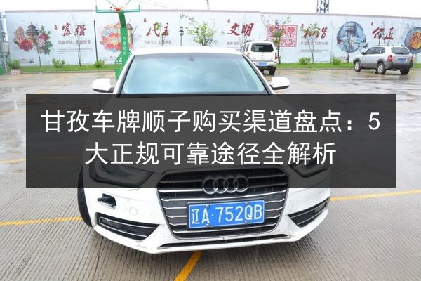 甘孜车牌顺子购买渠道盘点:5大正规可靠途径全解析 第2张 甘孜车牌顺子购买渠道盘点:5大正规可靠途径全解析 第2张