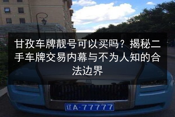 甘孜车牌靓号可以买吗？揭秘二手车牌交易内幕与不为人知的合法边界 第2张