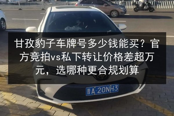 甘孜豹子车牌号多少钱能买?官方竞拍vs私下转让价格差超万元,选哪种更合规划算 第3张 甘孜豹子车牌号多少钱能买?官方竞拍vs私下转让价格差超万元,选哪种更合规划算 第3张