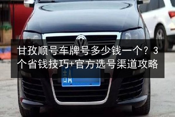 甘孜顺号车牌号多少钱一个?3个省钱技巧+官方选号渠道攻略 第3张 甘孜顺号车牌号多少钱一个?3个省钱技巧+官方选号渠道攻略 第3张
