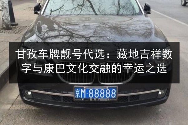 甘孜车牌靓号代选：藏地吉祥数字与康巴文化交融的幸运之选 第1张