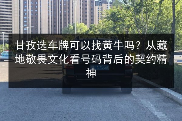 甘孜选车牌可以找黄牛吗？从藏地敬畏文化看号码背后的契约精神 第2张