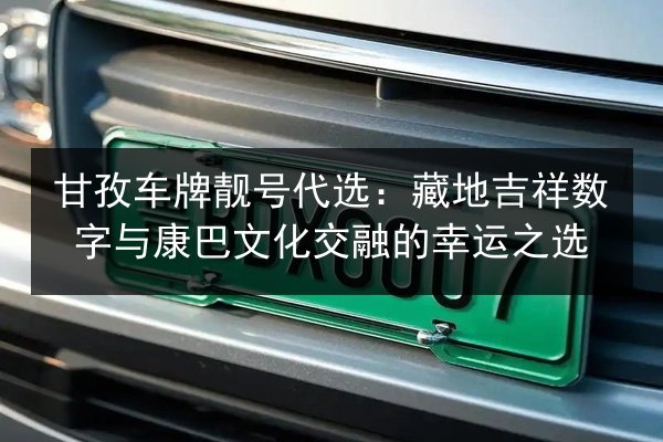 甘孜车牌靓号代选：藏地吉祥数字与康巴文化交融的幸运之选 第2张