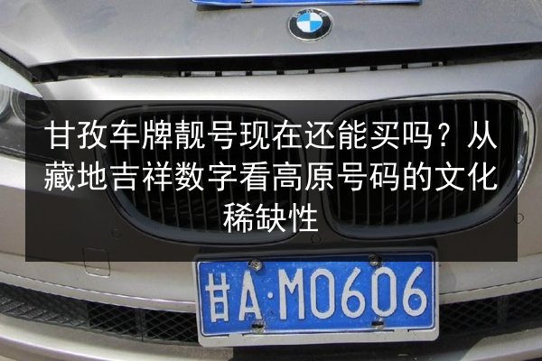 甘孜车牌靓号现在还能买吗？从藏地吉祥数字看高原号码的文化稀缺性 第2张