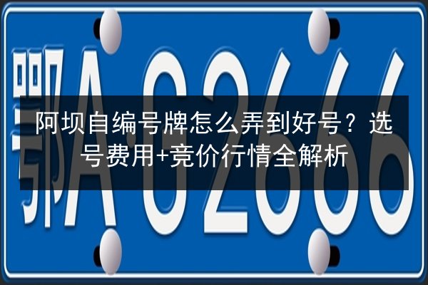 阿坝自编号牌怎么弄到好号？选号费用+竞价行情全解析 第2张